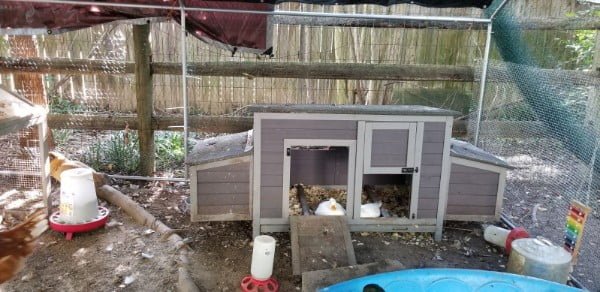 eefc3fa3-04d1-4368-8e18-d9984b79f5dd